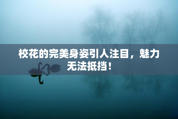 校花的完美身姿引人注目，魅力无法抵挡！
