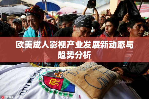 欧美成人影视产业发展新动态与趋势分析