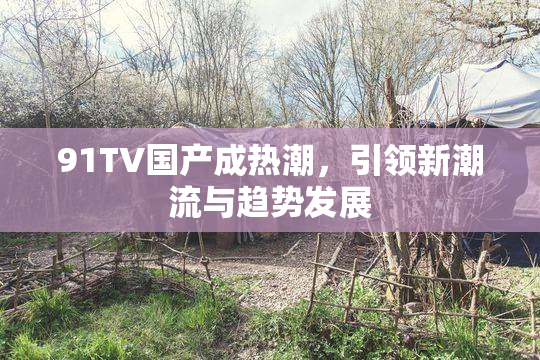 91TV国产成热潮，引领新潮流与趋势发展