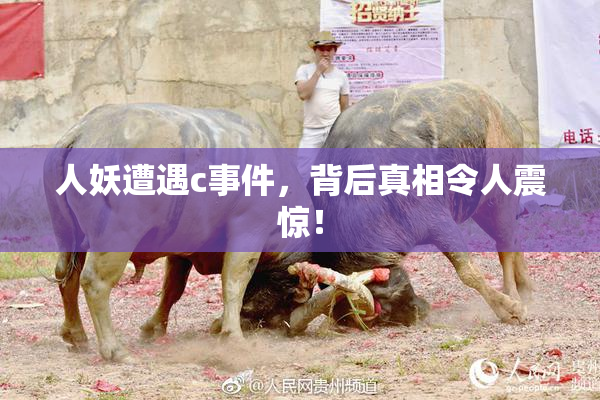 人妖遭遇c事件，背后真相令人震惊！