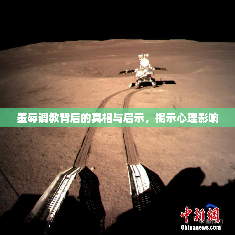 羞辱调教背后的真相与启示，揭示心理影响