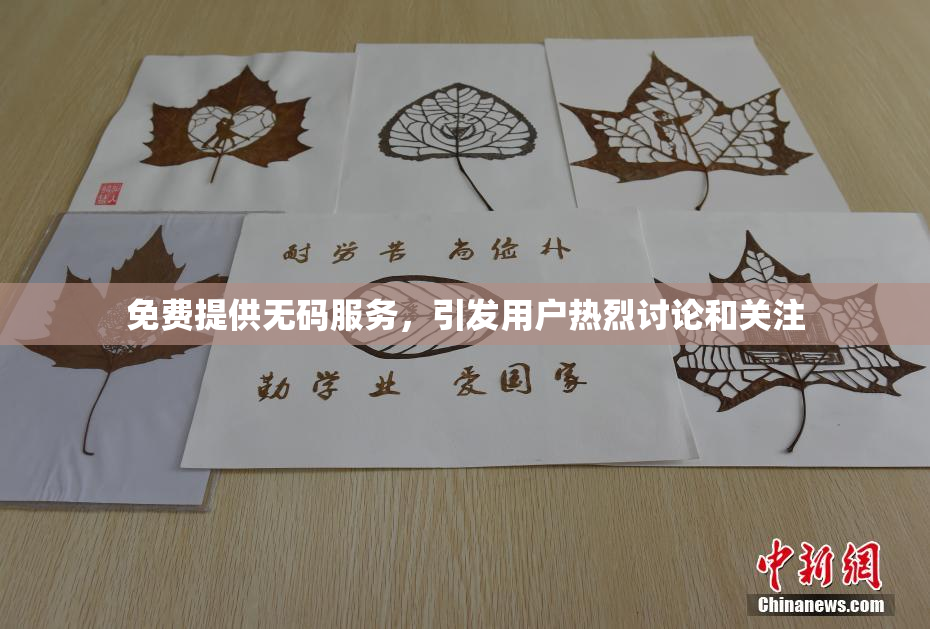 免费提供无码服务，引发用户热烈讨论和关注