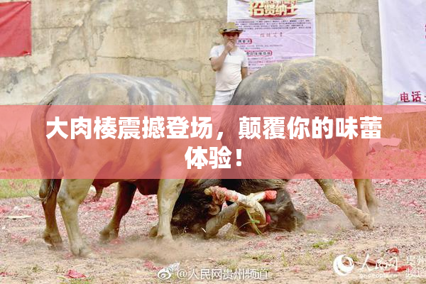 大肉楱震撼登场，颠覆你的味蕾体验！