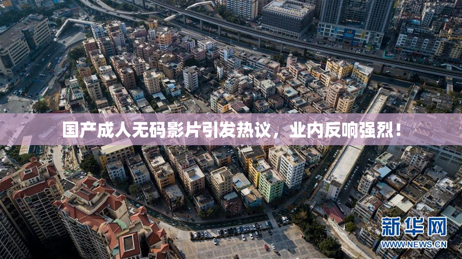 国产成人无码影片引发热议，业内反响强烈！