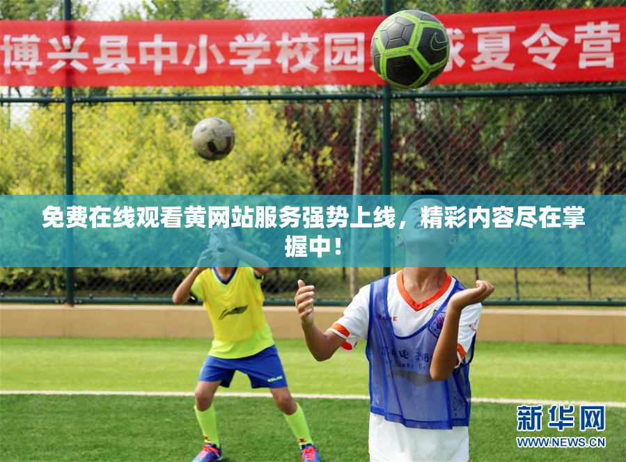免费在线观看黄网站服务强势上线，精彩内容尽在掌握中！