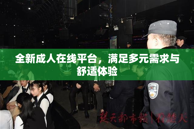 全新成人在线平台，满足多元需求与舒适体验