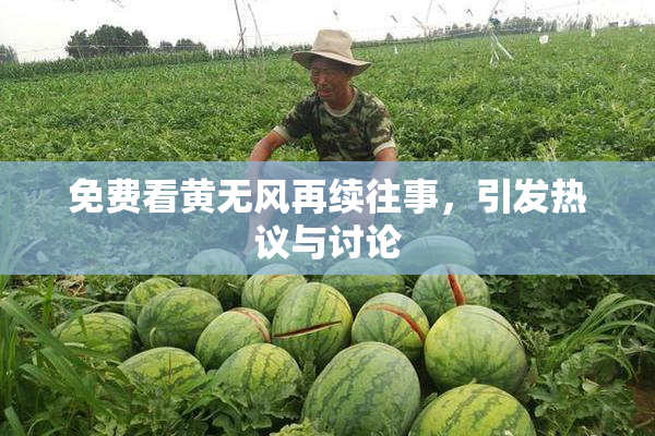 免费看黄无风再续往事，引发热议与讨论