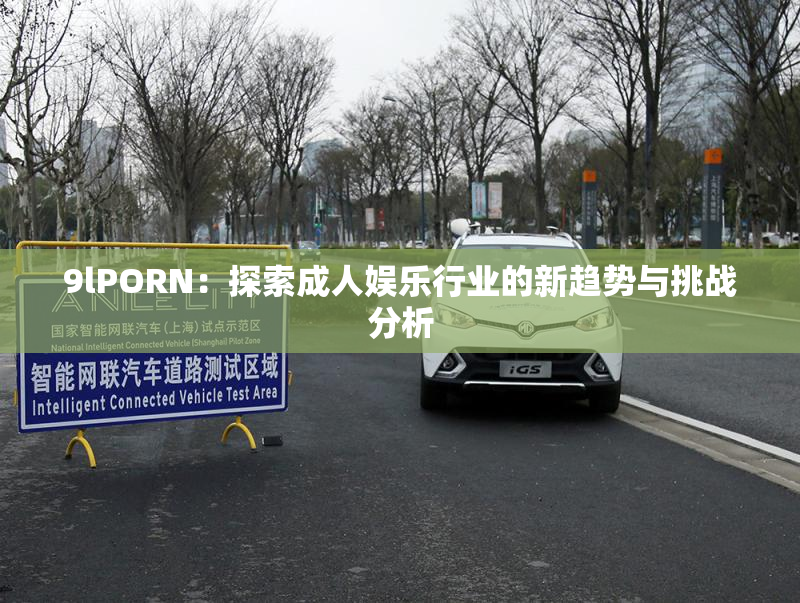 9lPORN：探索成人娱乐行业的新趋势与挑战分析