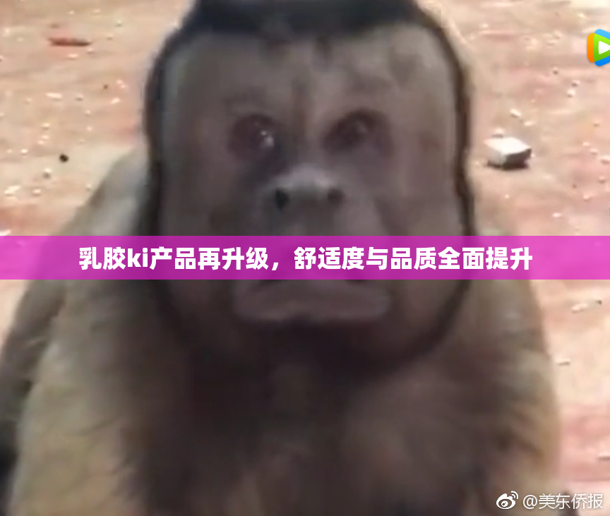 乳胶ki产品再升级，舒适度与品质全面提升