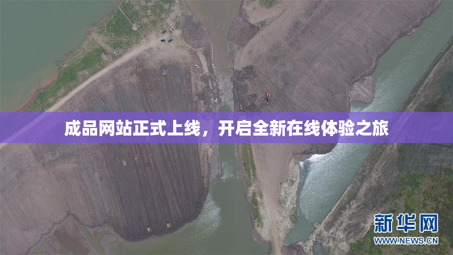 成品网站正式上线，开启全新在线体验之旅