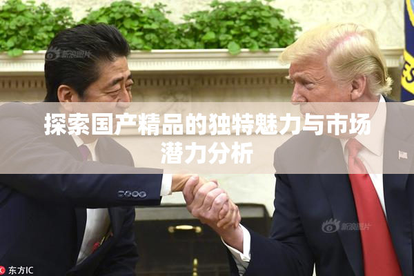 探索国产精品的独特魅力与市场潜力分析
