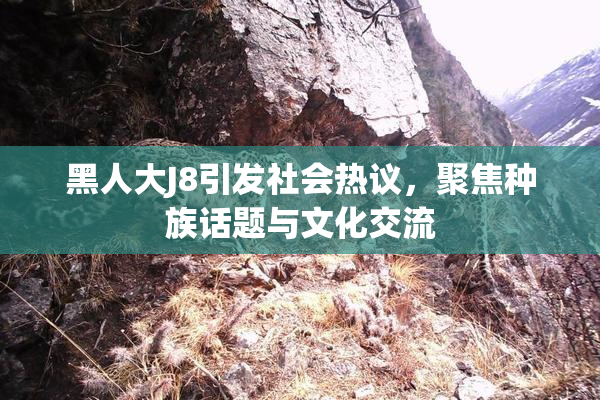 黑人大J8引发社会热议，聚焦种族话题与文化交流