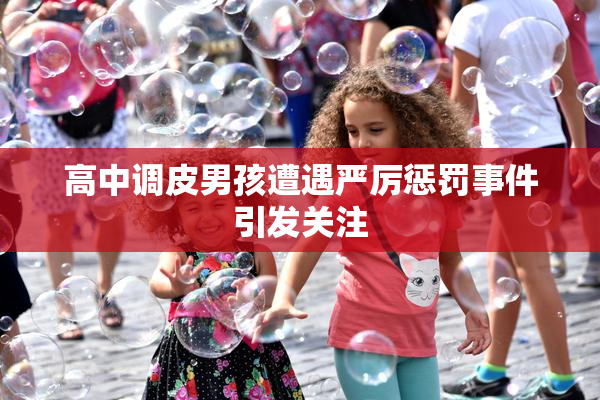 高中调皮男孩遭遇严厉惩罚事件引发关注