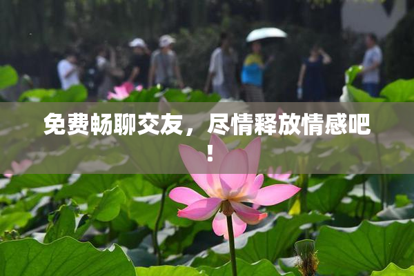 免费畅聊交友，尽情释放情感吧！