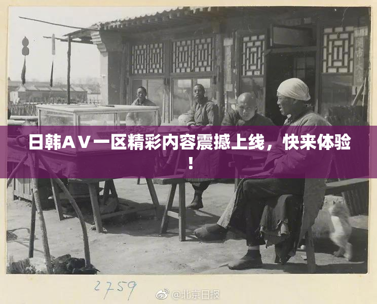 日韩AⅤ一区精彩内容震撼上线，快来体验！