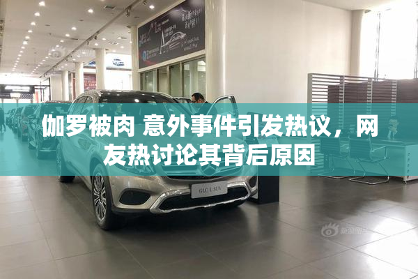 伽罗被肉 意外事件引发热议，网友热讨论其背后原因