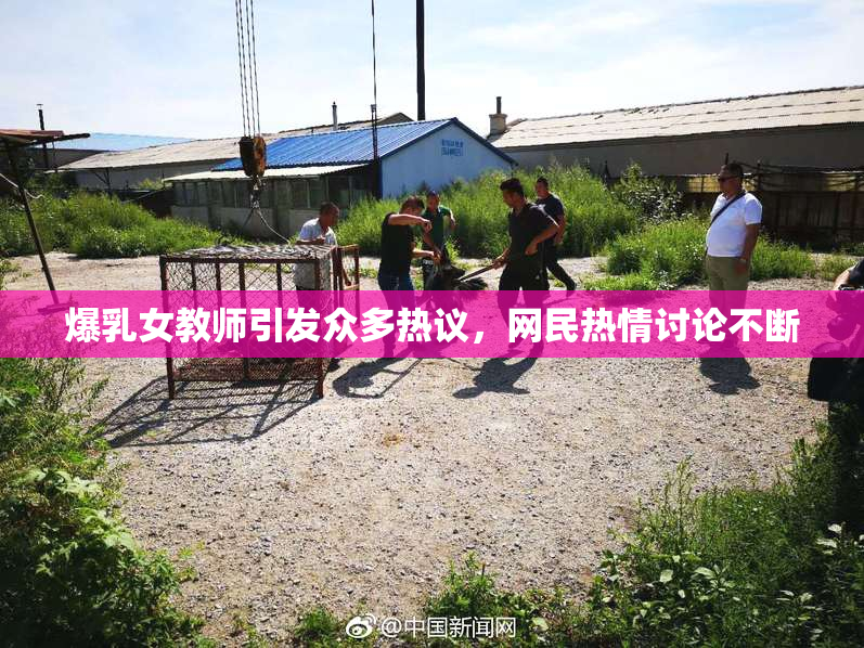 爆乳女教师引发众多热议，网民热情讨论不断
