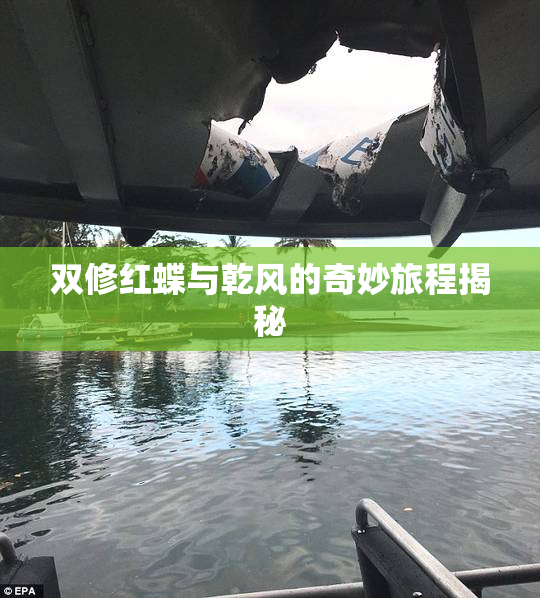 双修红蝶与乾风的奇妙旅程揭秘