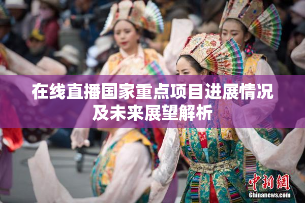 在线直播国家重点项目进展情况及未来展望解析