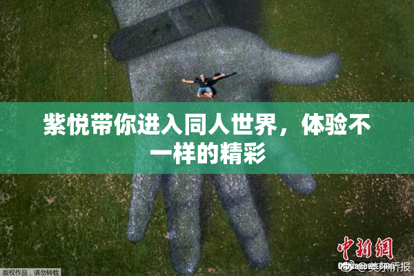 紫悦带你进入同人世界，体验不一样的精彩