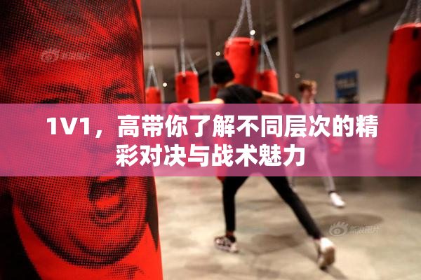 1V1，高带你了解不同层次的精彩对决与战术魅力