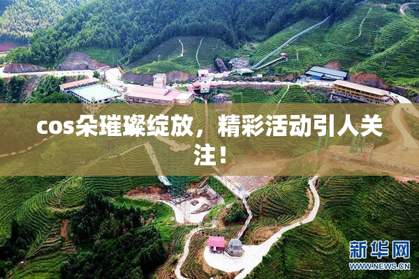 cos朵璀璨绽放，精彩活动引人关注！