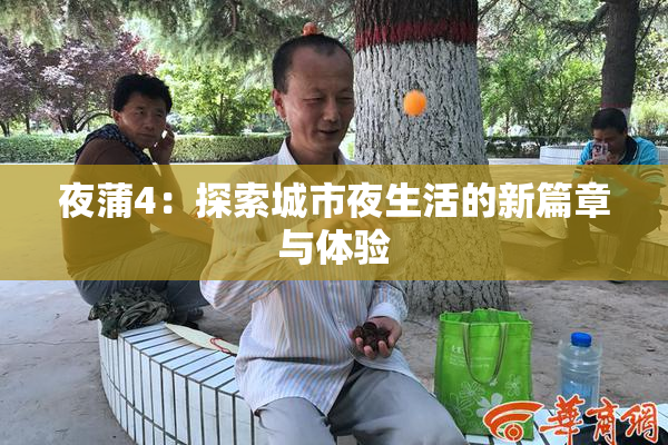 夜蒲4：探索城市夜生活的新篇章与体验