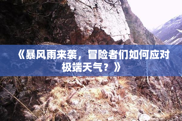 《暴风雨来袭，冒险者们如何应对极端天气？》