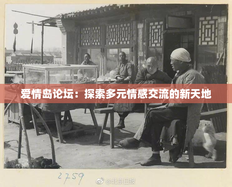 爱情岛论坛：探索多元情感交流的新天地
