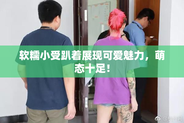 软糯小受趴着展现可爱魅力，萌态十足！