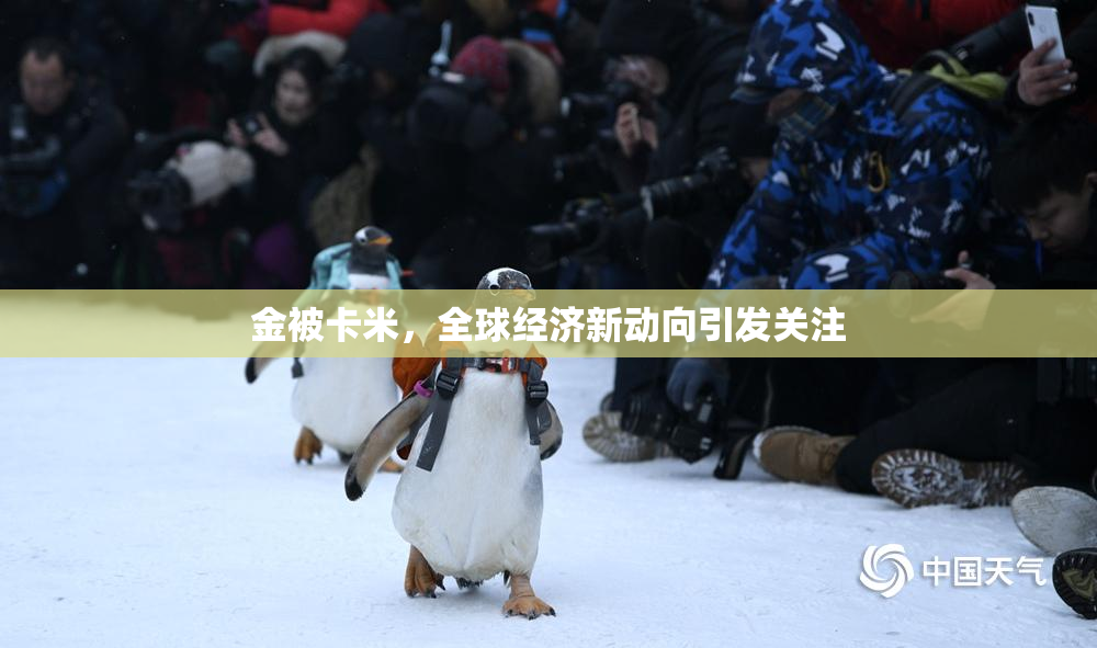 金被卡米，全球经济新动向引发关注