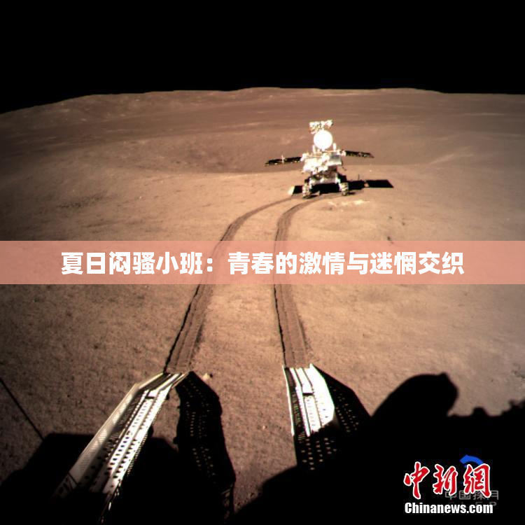 夏日闷骚小班：青春的激情与迷惘交织