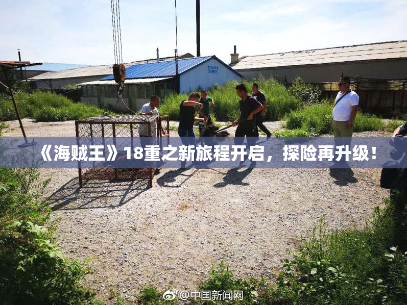 《海贼王》18重之新旅程开启，探险再升级！