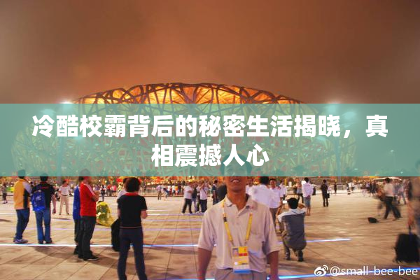 冷酷校霸背后的秘密生活揭晓，真相震撼人心