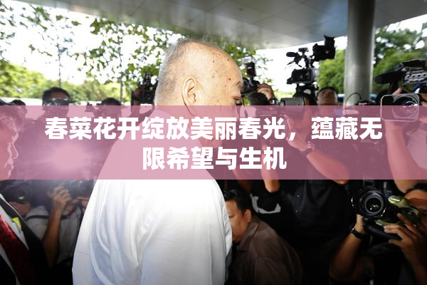 春菜花开绽放美丽春光，蕴藏无限希望与生机