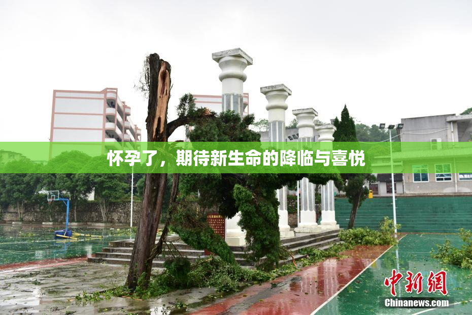 怀孕了，期待新生命的降临与喜悦