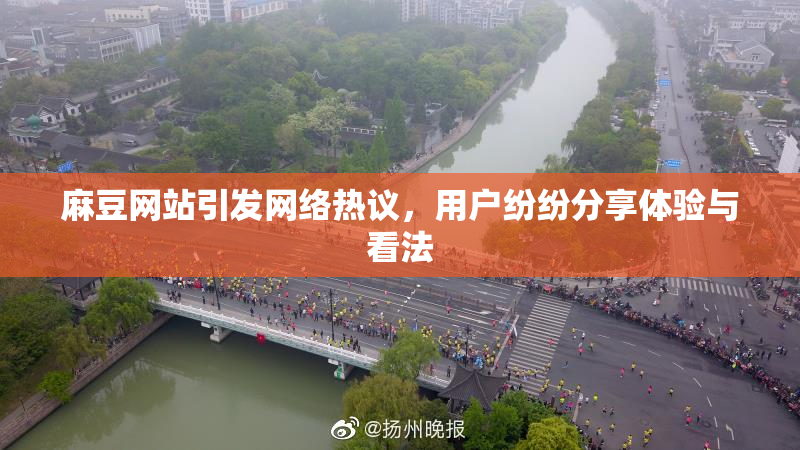 麻豆网站引发网络热议，用户纷纷分享体验与看法