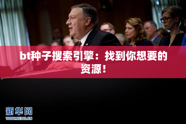 bt种子搜索引擎：找到你想要的资源！