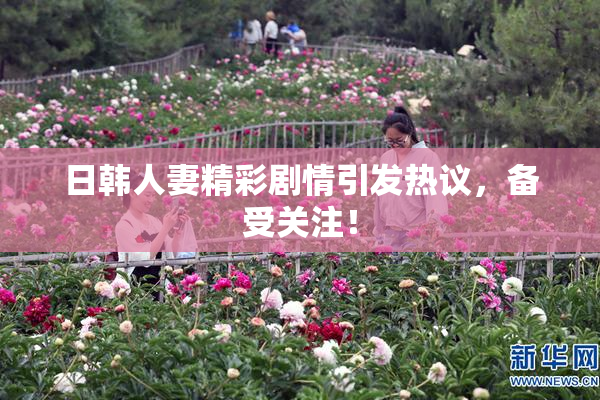 日韩人妻精彩剧情引发热议，备受关注！