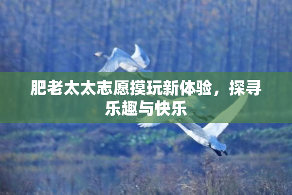 肥老太太志愿摸玩新体验，探寻乐趣与快乐