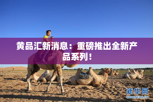 黄品汇新消息：重磅推出全新产品系列！