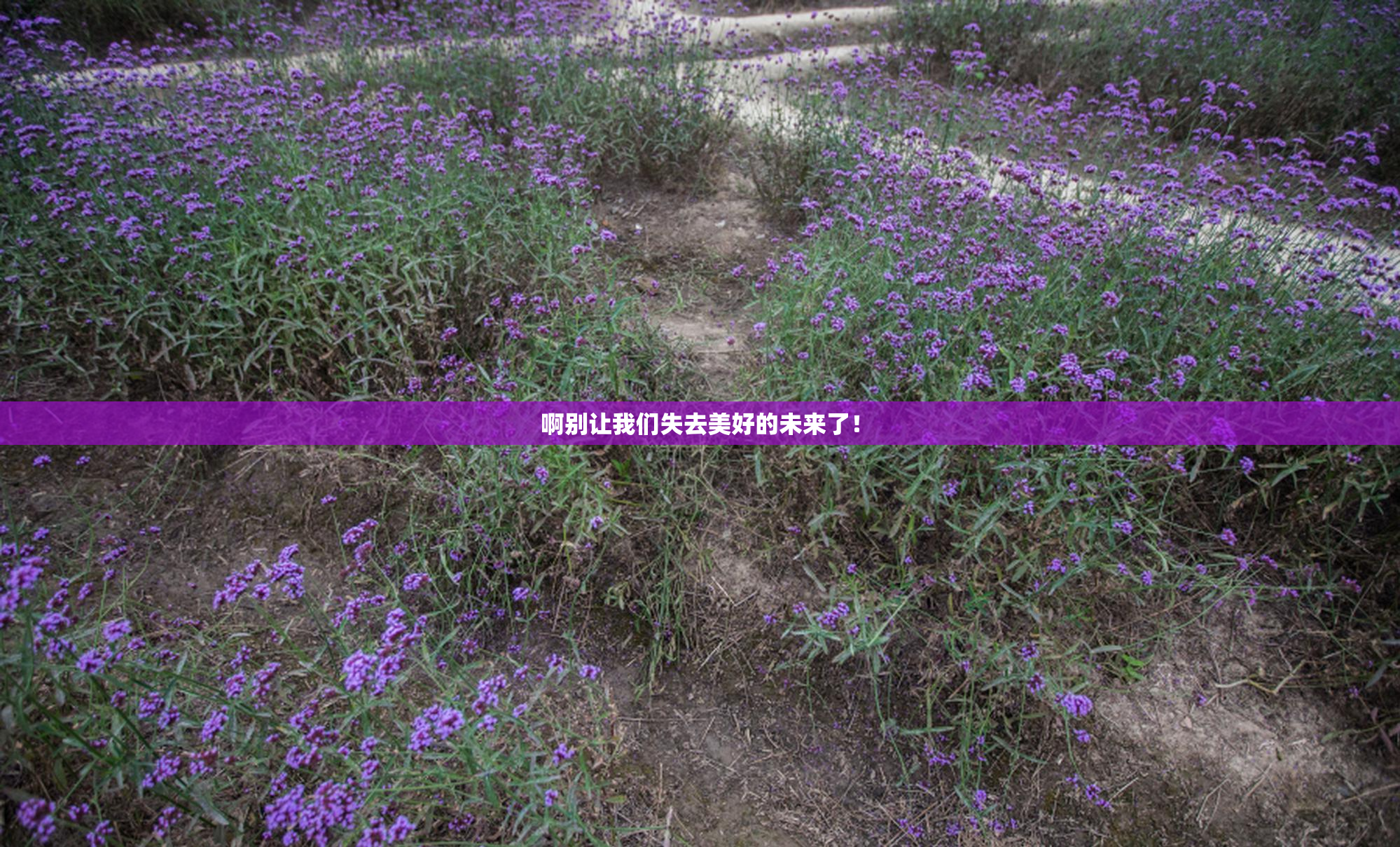 啊别让我们失去美好的未来了！