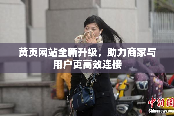 黄页网站全新升级，助力商家与用户更高效连接