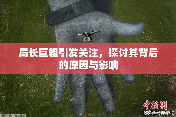 局长巨粗引发关注，探讨其背后的原因与影响