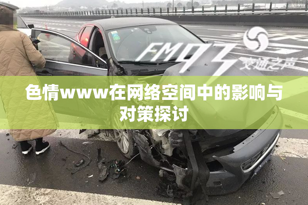 色情www在网络空间中的影响与对策探讨