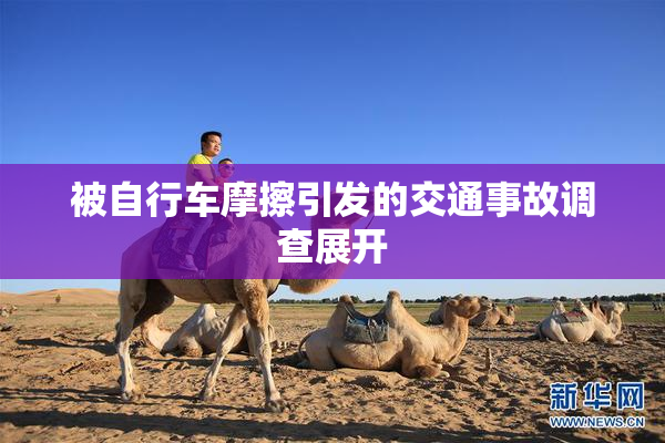被自行车摩擦引发的交通事故调查展开