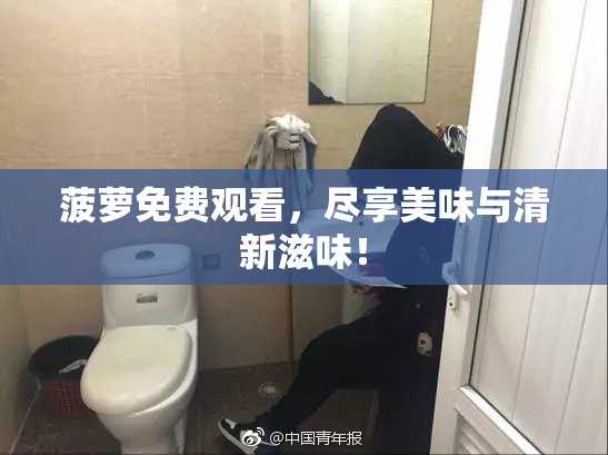 菠萝免费观看，尽享美味与清新滋味！