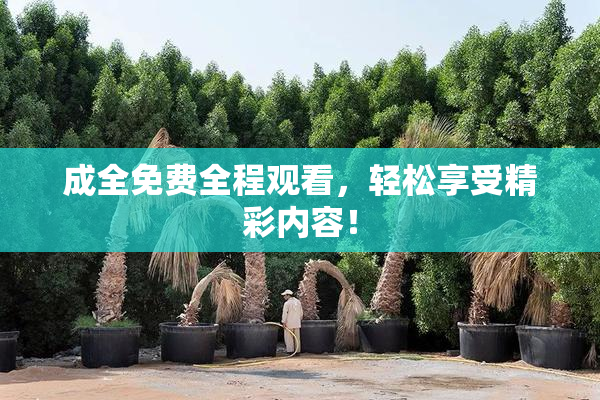 成全免费全程观看，轻松享受精彩内容！