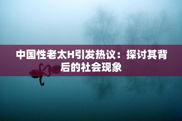 中国性老太H引发热议：探讨其背后的社会现象