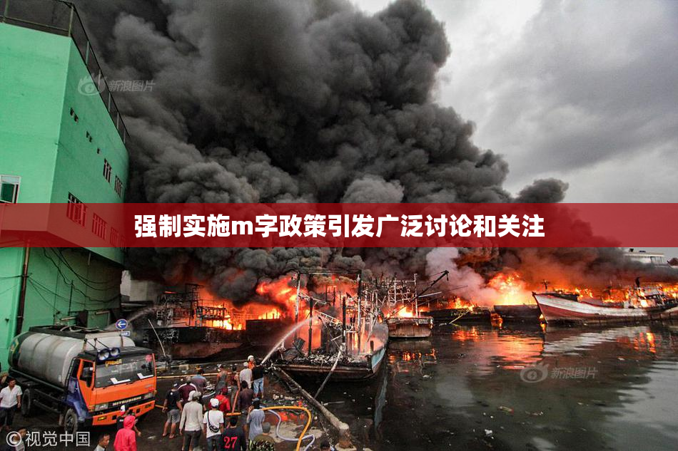 强制实施m字政策引发广泛讨论和关注